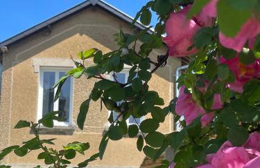 L atelier de Léon - Photo 1