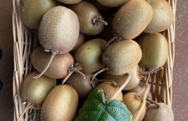 Casa do Muro Alto - Foto 53