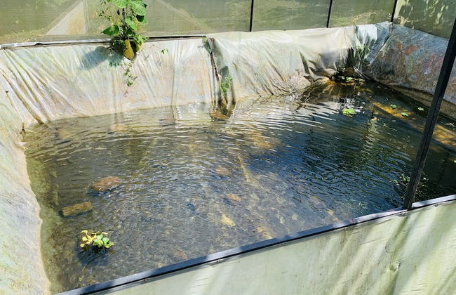 TIPS Vacation - Foto 31