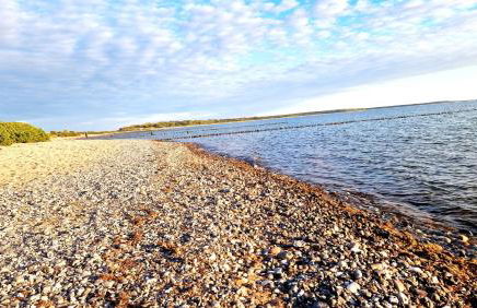 App 8u Rügener Heimatliebe - Photo 61