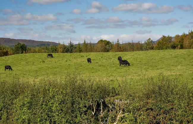 Cardross Estate Holiday Cottages - Foto 74