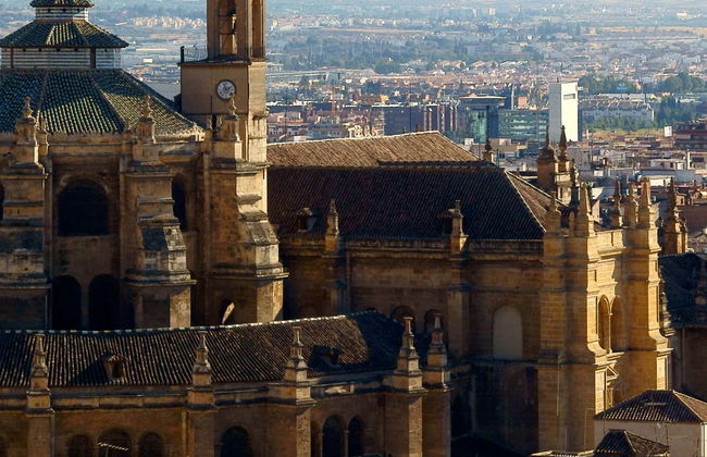 Visite privée dans Grenade. À vous de choisir ! - Photo 1