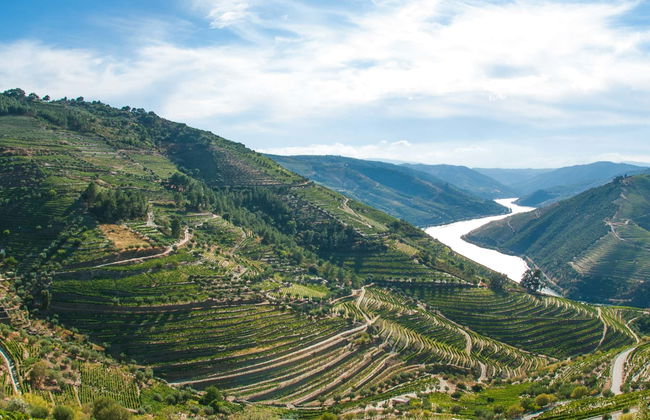 Duero Valley Tour - Photo 1