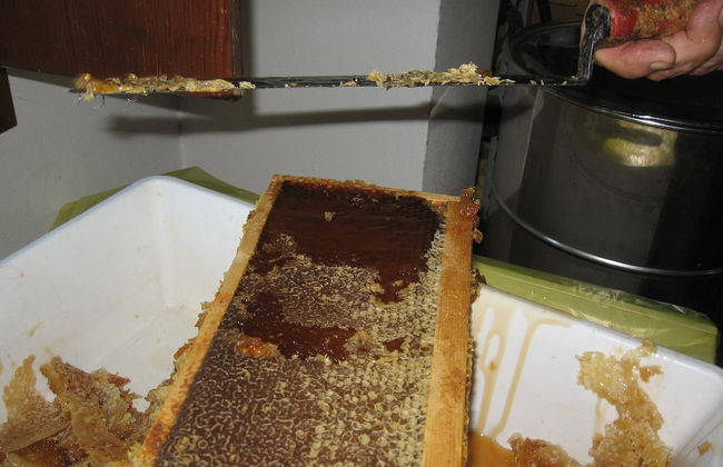 Agriturismo La Rovere - Foto 17