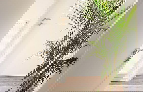 Ferienwohnung Busch - Foto 1