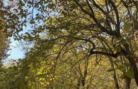 Lupicante 56 Cesenatico - Foto 5