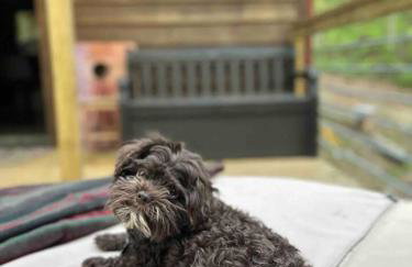 Romantic Cabin, Hot Tub, Lake Access, OutdoorLiving! - Foto 49