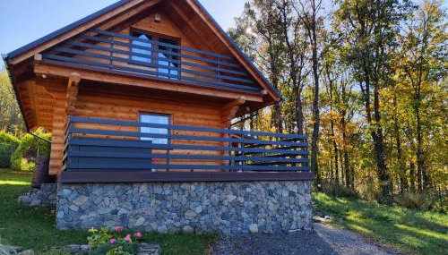 Kwietna łąka na szlaku - Foto 5