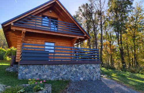 Kwietna łąka na szlaku - Foto 5