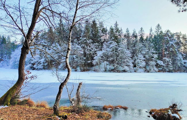 Wellness Apartment Keutschach Lakes Valley - Photo 23