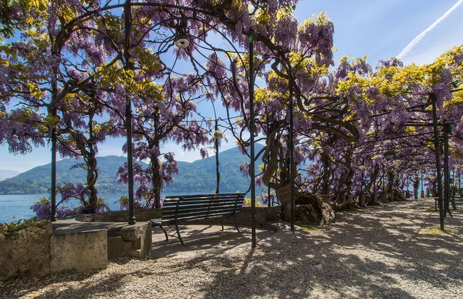 Villa San Michele - Foto 35