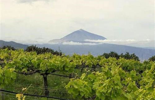 Holiday Home Finca Sunny Scape Rural by Interhome - Foto 34