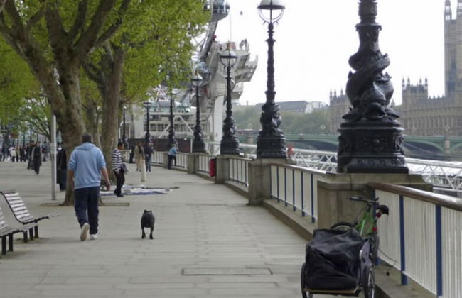 London Bridge - Entire 2 Bedroom Apart - Foto 17