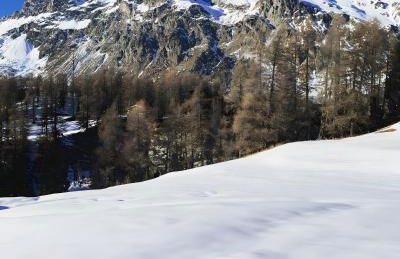 Il Nido Del Colibrì - Foto 30