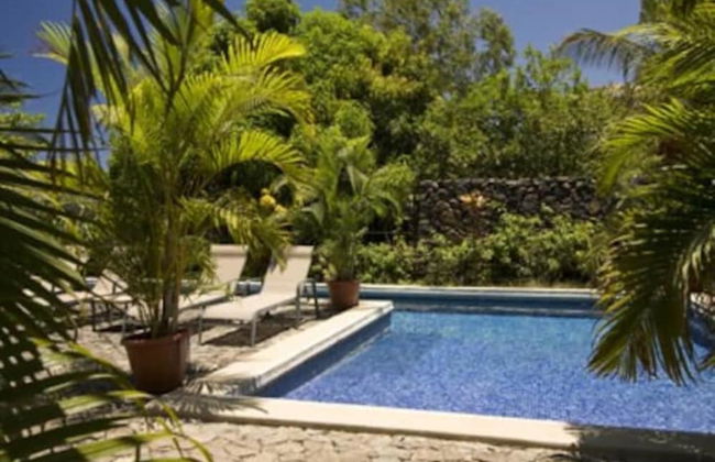 Casa Bella Catalina in Potrero - Photo 8