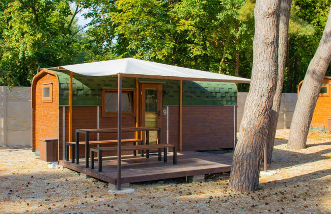 1 bedroom House in Hradec Kralove with garden - Photo 13