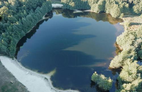 Forest Retreat In East Frisia - Photo 28