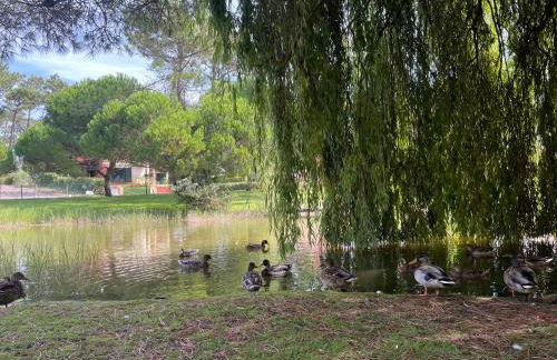 À Beira Lago - Casa de férias - Foto 35