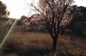 Casa rural con jacuzzi - Foto 23