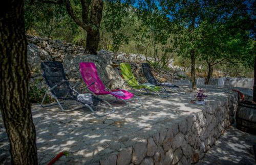 Apartments Ivanka - Photo 8