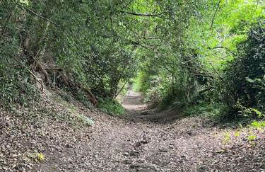 The Workshop - Foto 22