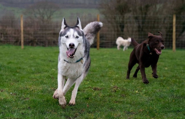 Pencastell Views Pod With Stunning Views - Photo 14