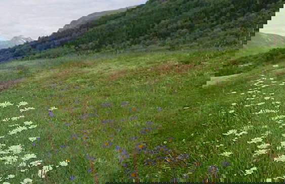 Eidsdal Camping og Feriehus - Foto 22