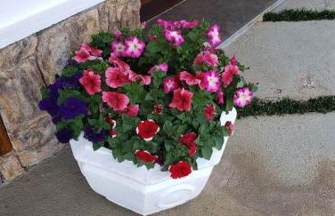 Belíssima COBERTURA no Condomínio Switzerland, o conforto que toda família merece - Foto 9