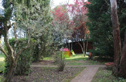 Romitorio di Castiglione del Lago - Photo 27