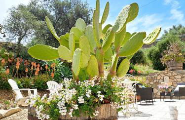 Appartamento Castel Sant'Angelo - Foto 3