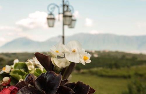 Antico Casolare Ceselenardi - Foto 8
