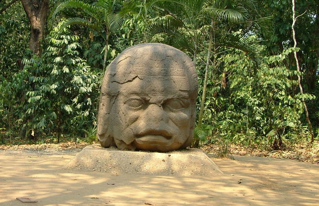 De la Venta Museum - Foto 5