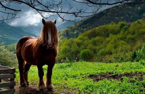 Holiday Home Berghütte mit Terrasse- Kamin und Jacuzzi by Interhome - Foto 15