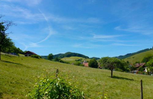 Apartment Pension Himmelsbach by Interhome - Foto 41