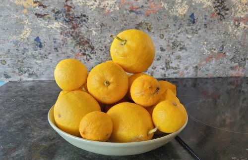 Casa Peroscalou - Photo 36