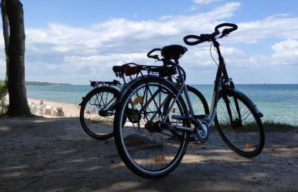 Garten-Ferienhaus Biendorf OT Westenbrügge - Foto 14