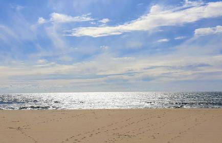 The Shore @ Atlantic Beach - Waterfront Beach House, Tiny Pool, Terrasse - Foto 37