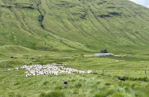 Auch - Cottages - Photo 16