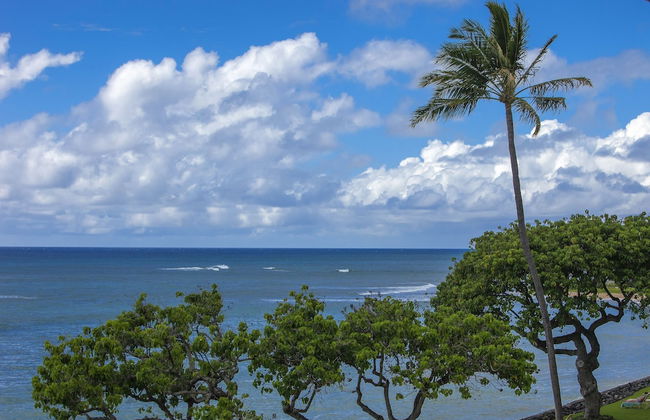 Kahana Reef - Maui Condo & Home - Foto 39