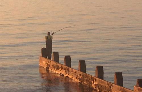 2 Yr Hen Fanc - Foto 34