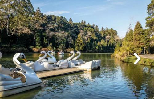 Flores da Montanha - Foto 56