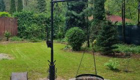 Niezapominajka - Foto 3