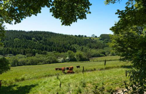 4 Bed in Hebron oc-y30097 - Foto 19