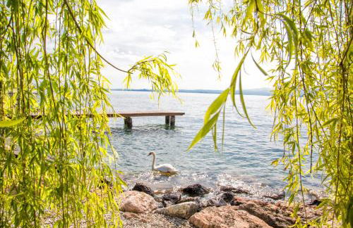 Appartamenti Wieland - Foto 7