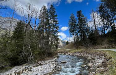 Cosy 2 pièces proche Châtel - Foto 31