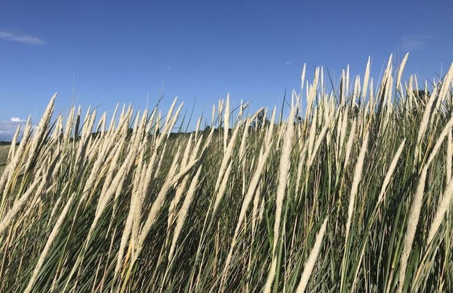 Holiday Apartment "kati" - Foto 13