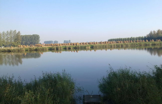 Country House in Sint Laureins Near Het Zwin - Foto 37