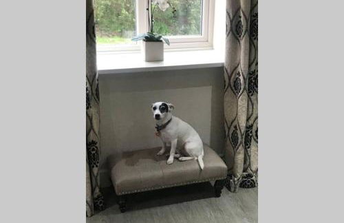 Barton Cottage - Foto 18