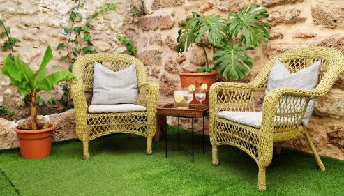 La Casita en el Patio - Photo 4, Garden