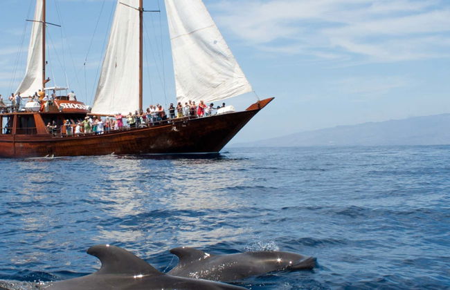Schooner Boat Ride + Whale Watching - Photo 8